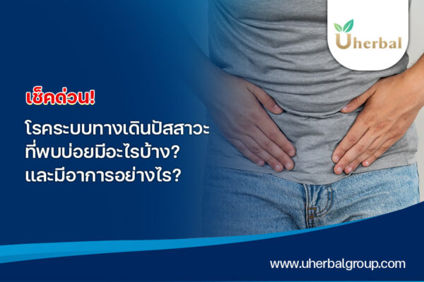 เช็กด่วน ! โรคระบบทางเดินปัสสาวะ ที่พบบ่อยมีอะไรบ้าง ? และมีอาการอย่างไร ?